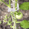 PlantClips - Wiederverwendbare Pflanzenstützen Und Festsetzung Clips