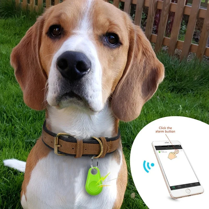 DogCatFri™ PetTracker - Bluetooth Pet Haustier Tracker