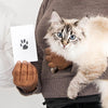 DogCatFri™ PawPrint: Pet Paw Rahmen Und Druck Kit