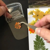 ClearBookmarks - DIY Transparente Lesezeichen Und Dekorationen