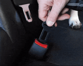 DogFri™ PawGuard 1+1 GRATIS: Hunde Autositz Gurt