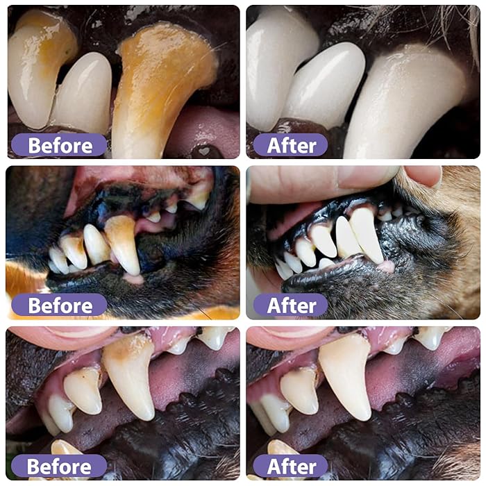 DogCatFri™  DentalPet: Haustier Zahnpflege Reparatur Und Reinigung Gel