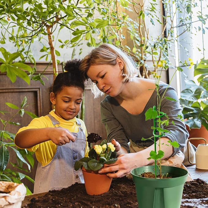 PlantSupport - Pflanzenwachstums-Stützeinsatzständer