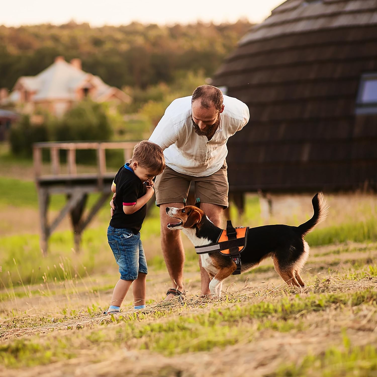 DogFri™ DogHarness: Atmungsaktives Hundegeschirr Ohne Ziehen