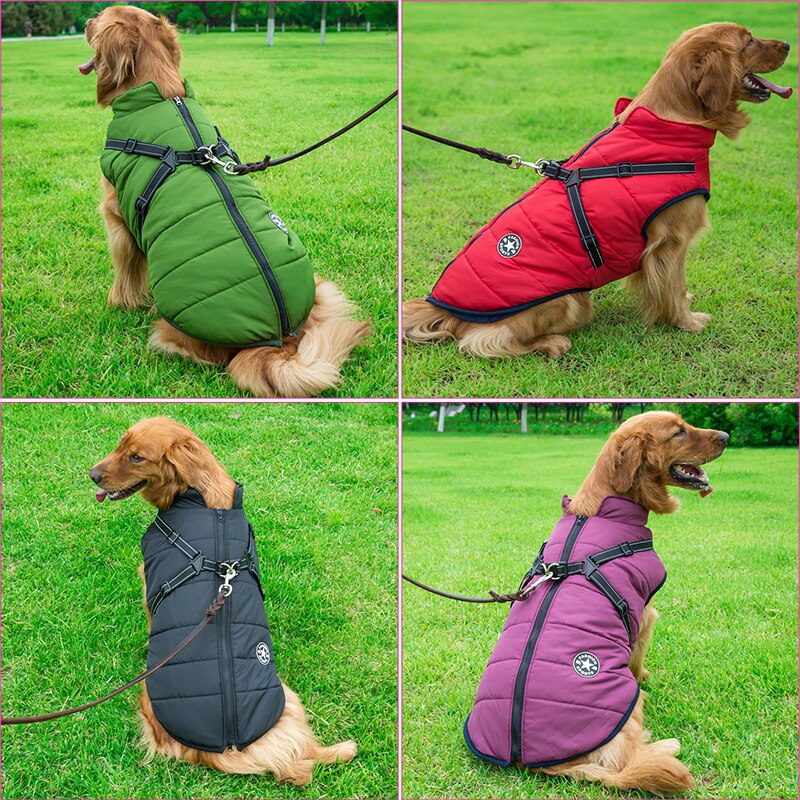 DogFri™ DogJacket: Wasserdichte Winter Hundejacke