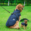 DogFri™ DogJacket: Wasserdichte Winter Hundejacke