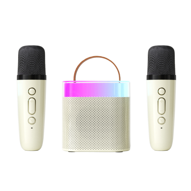 KaraokePro – Mini Karaokemaschine Mit Drahtlosen Mikrofonen