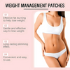 WellnessPatch - Tägliches Wellness Natürliche Metabolische Balance Pflaster