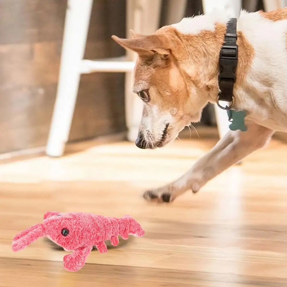 DogCatFri™ PlushToy - Interaktive Plüschtiere Für Haustiere