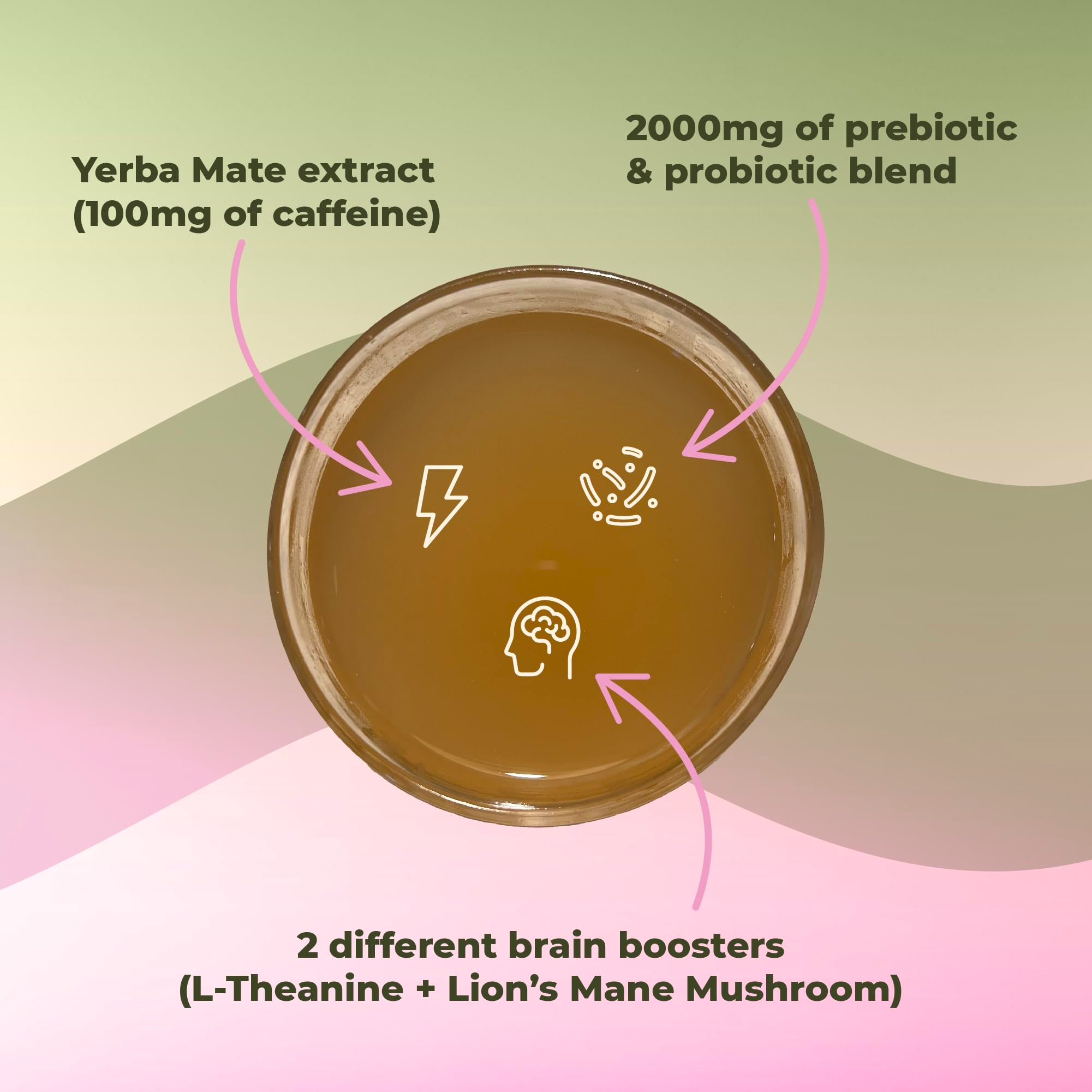 TeaPowder - Energie, Konzentration Und Darmgesundheit Magischer Teepulver