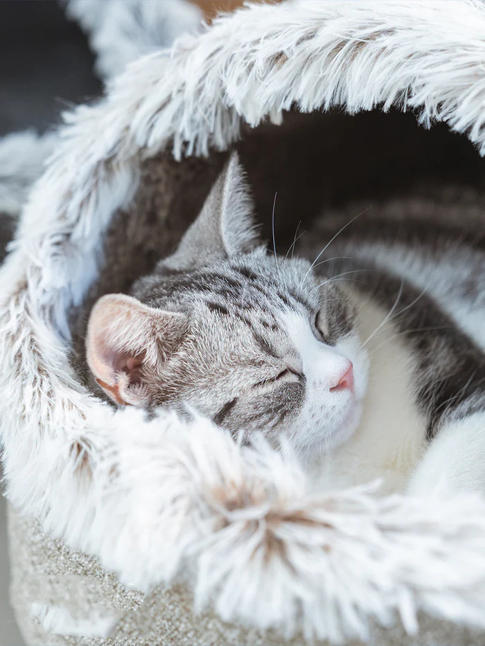 Catfri® CozyCat: Warmes Und Gemütliches Nest Für Katzen