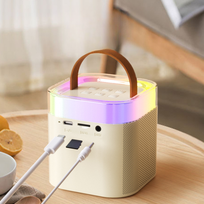 KaraokePro – Mini Karaokemaschine Mit Drahtlosen Mikrofonen