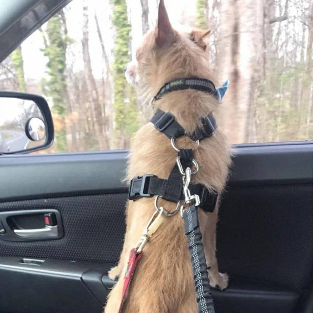 DogFri™ PawGuard 1+1 GRATIS: Hunde Autositz Gurt