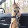 DogFri™ PawGuard 1+1 GRATIS: Hunde Autositz Gurt