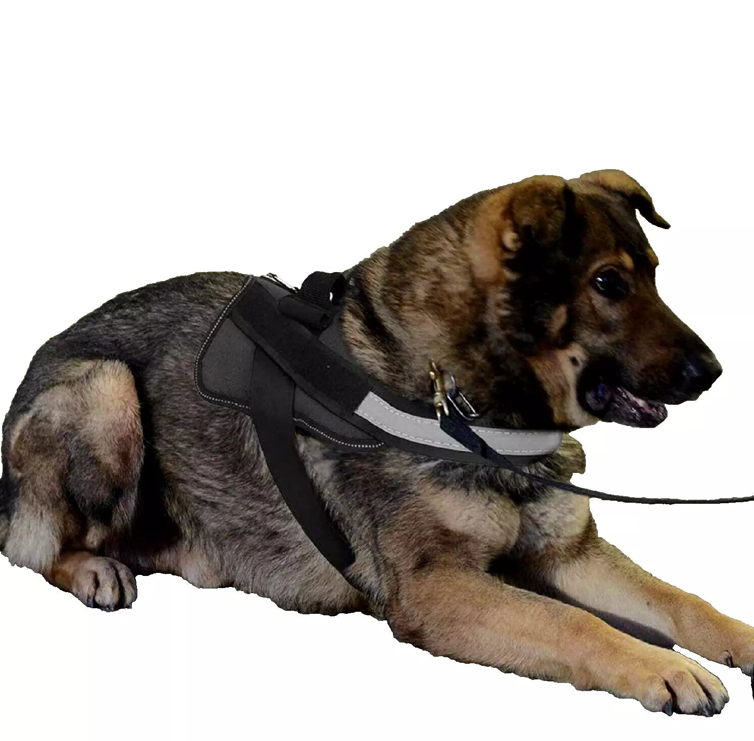 DogFri™ DogHarness: Atmungsaktives Hundegeschirr Ohne Ziehen