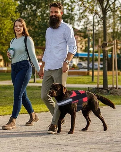 DogFri™ DogHarness: Atmungsaktives Hundegeschirr Ohne Ziehen