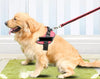 DogFri™ DogHarness: Atmungsaktives Hundegeschirr Ohne Ziehen