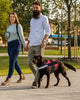 DogFri™ DogHarness: Atmungsaktives Hundegeschirr Ohne Ziehen