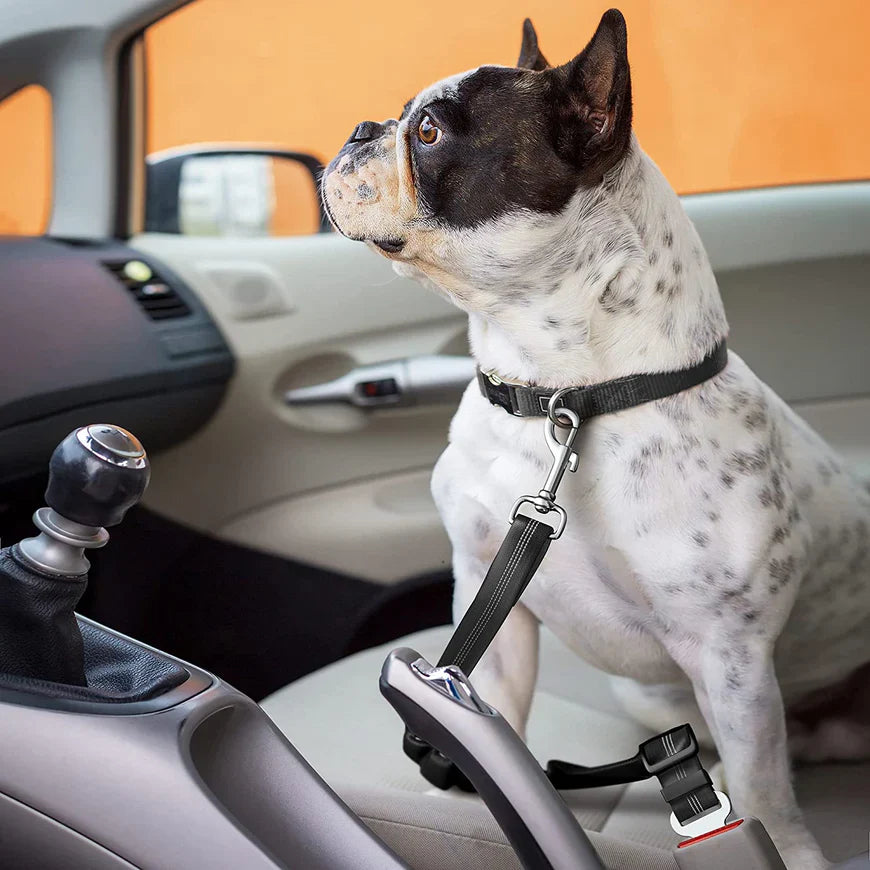 DogFri™ PawGuard 1+1 GRATIS: Hunde Autositz Gurt