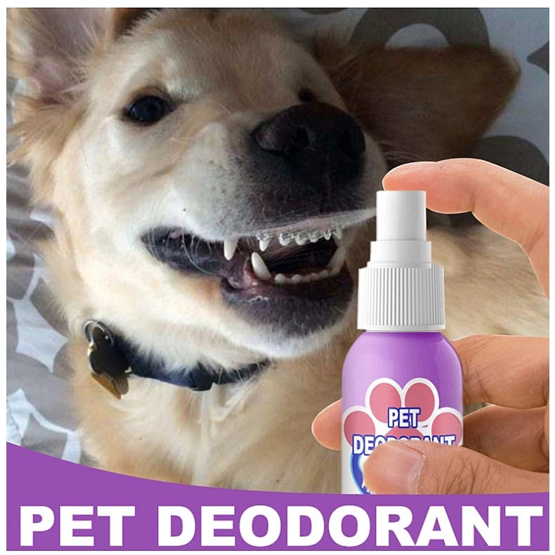 DogCatFri™ PetSpray: Haustier Atemerfrischungs Spray