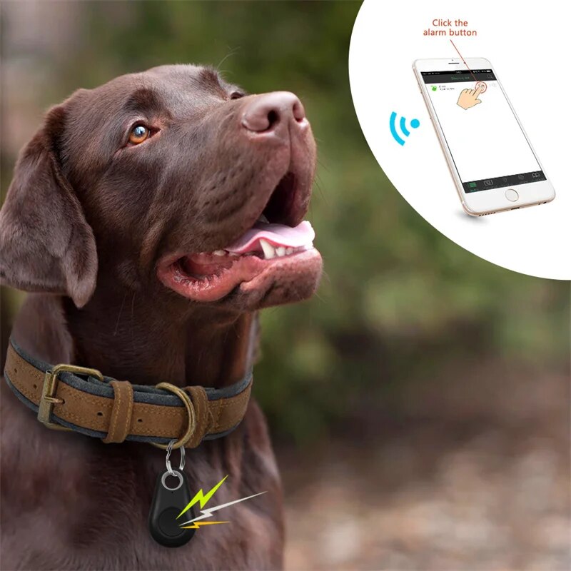 DogCatFri™ PetTracker - Bluetooth Pet Haustier Tracker